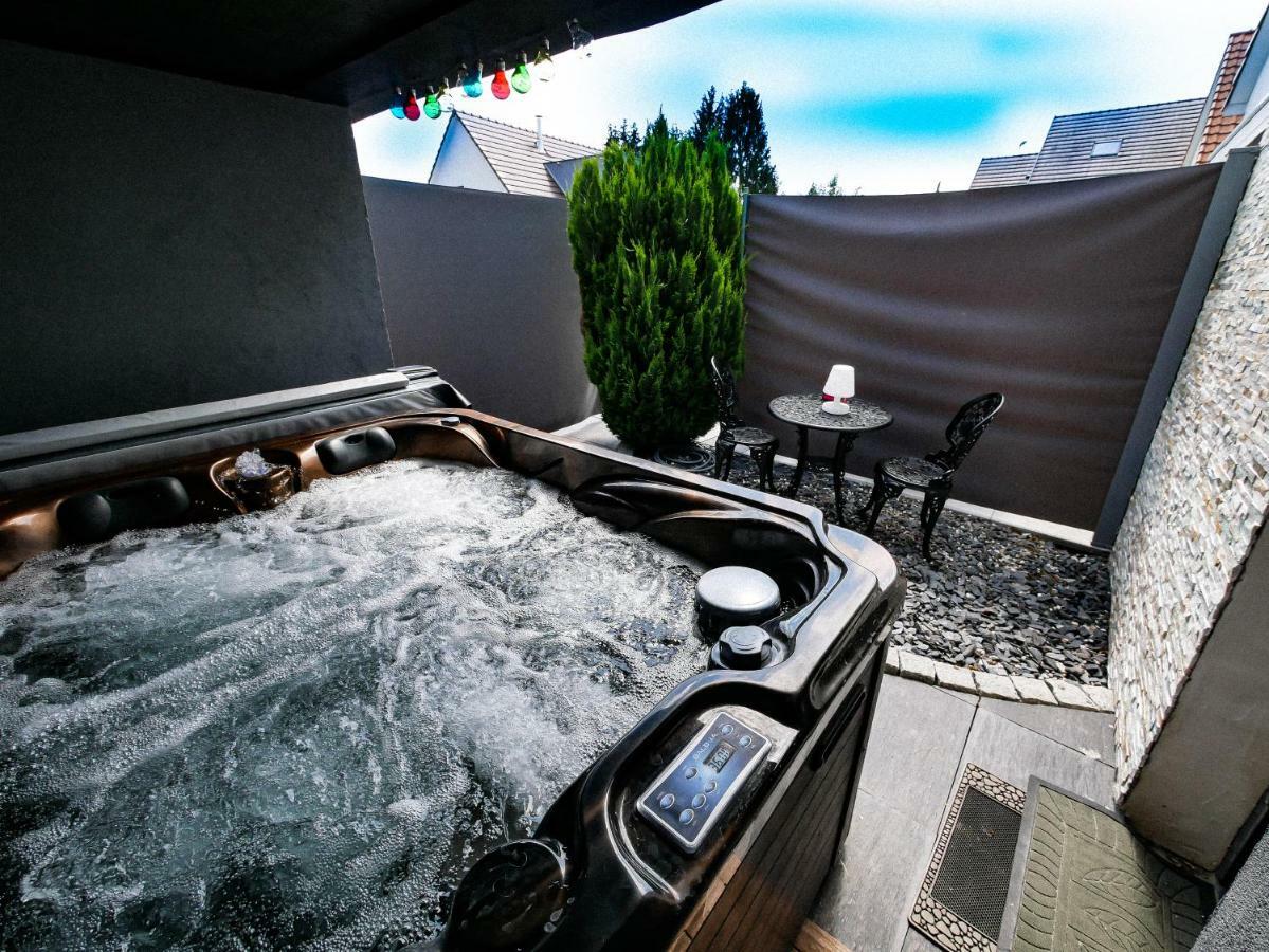 Gites Spa Strasbourg - Studio Romantique, Jacuzzi, Sauna, Terrasse Privee Furdenheim Экстерьер фото